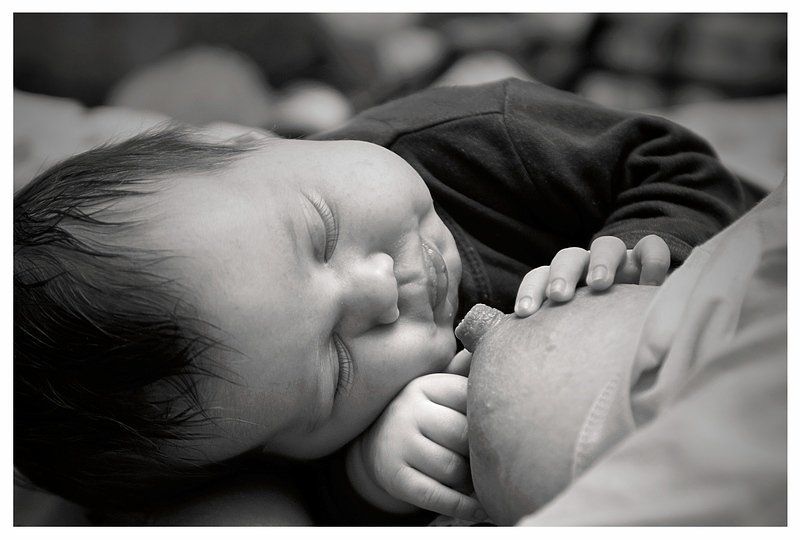 Умаялся... фото превью