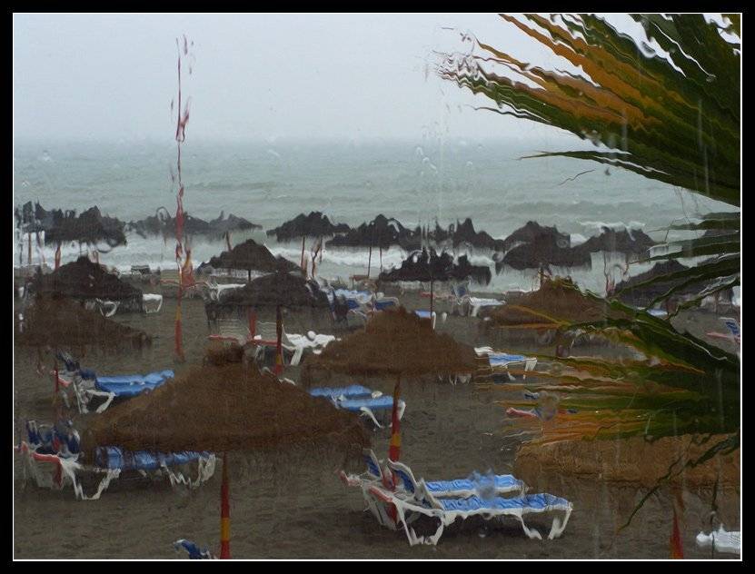 , Лунный Ежик