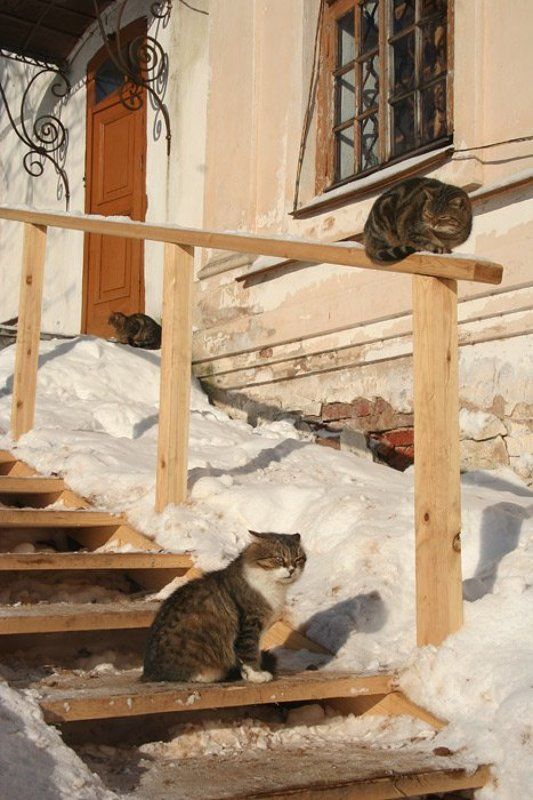 Весна фото превью