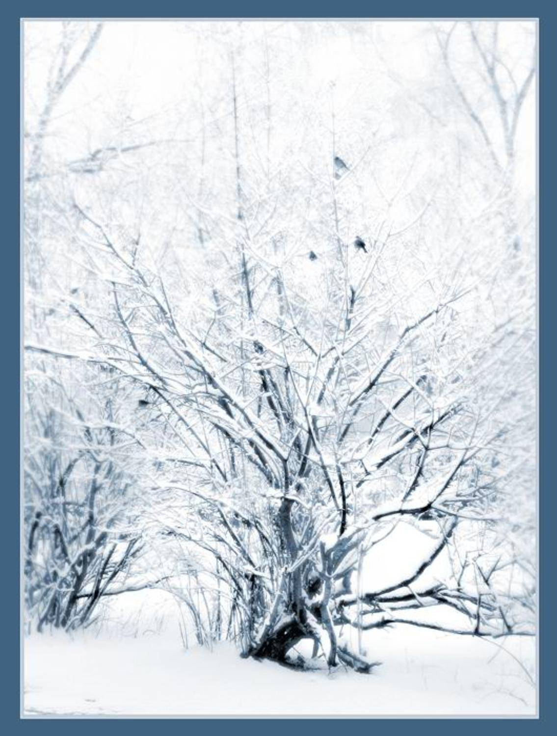 , Света Ошметкова