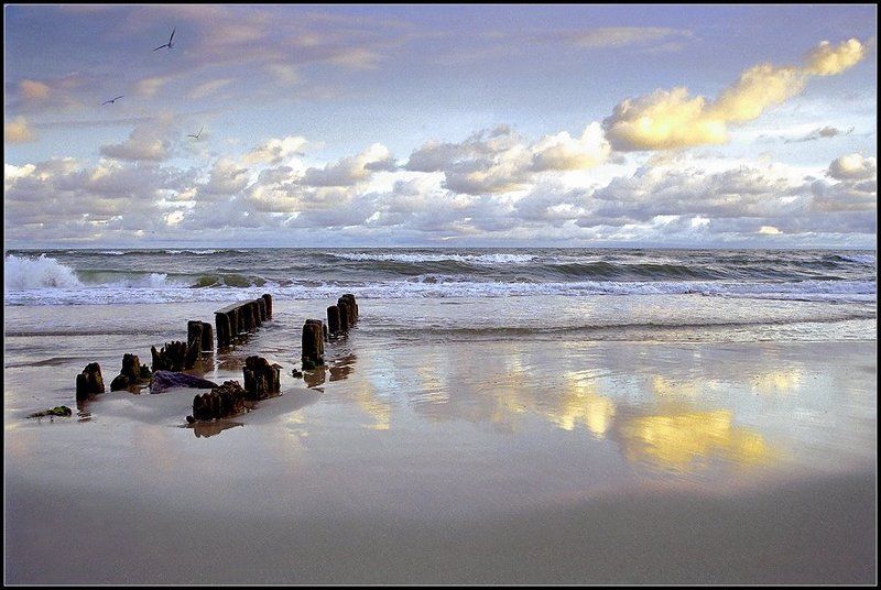 Балтика фото превью