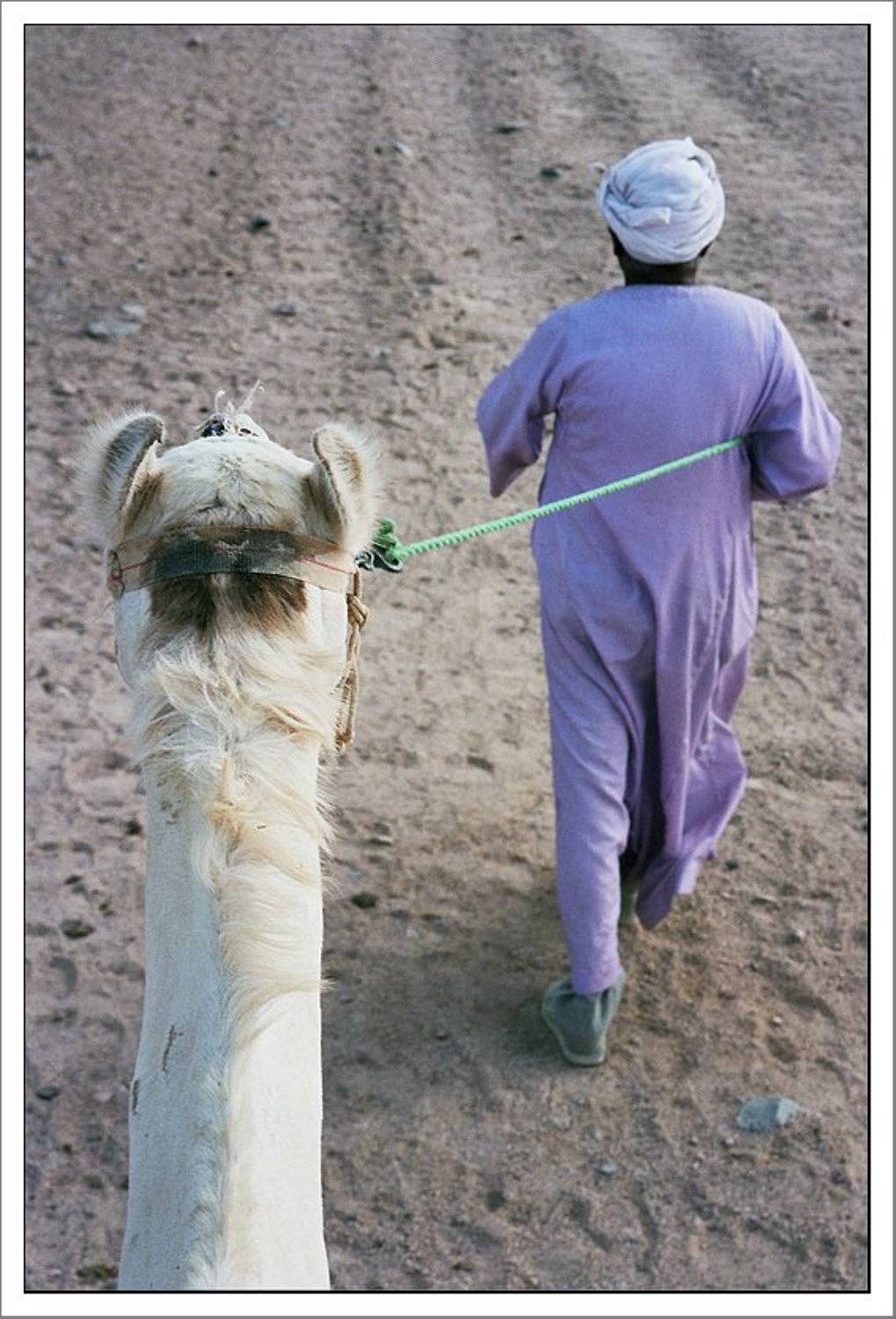 , Лунный Ежик