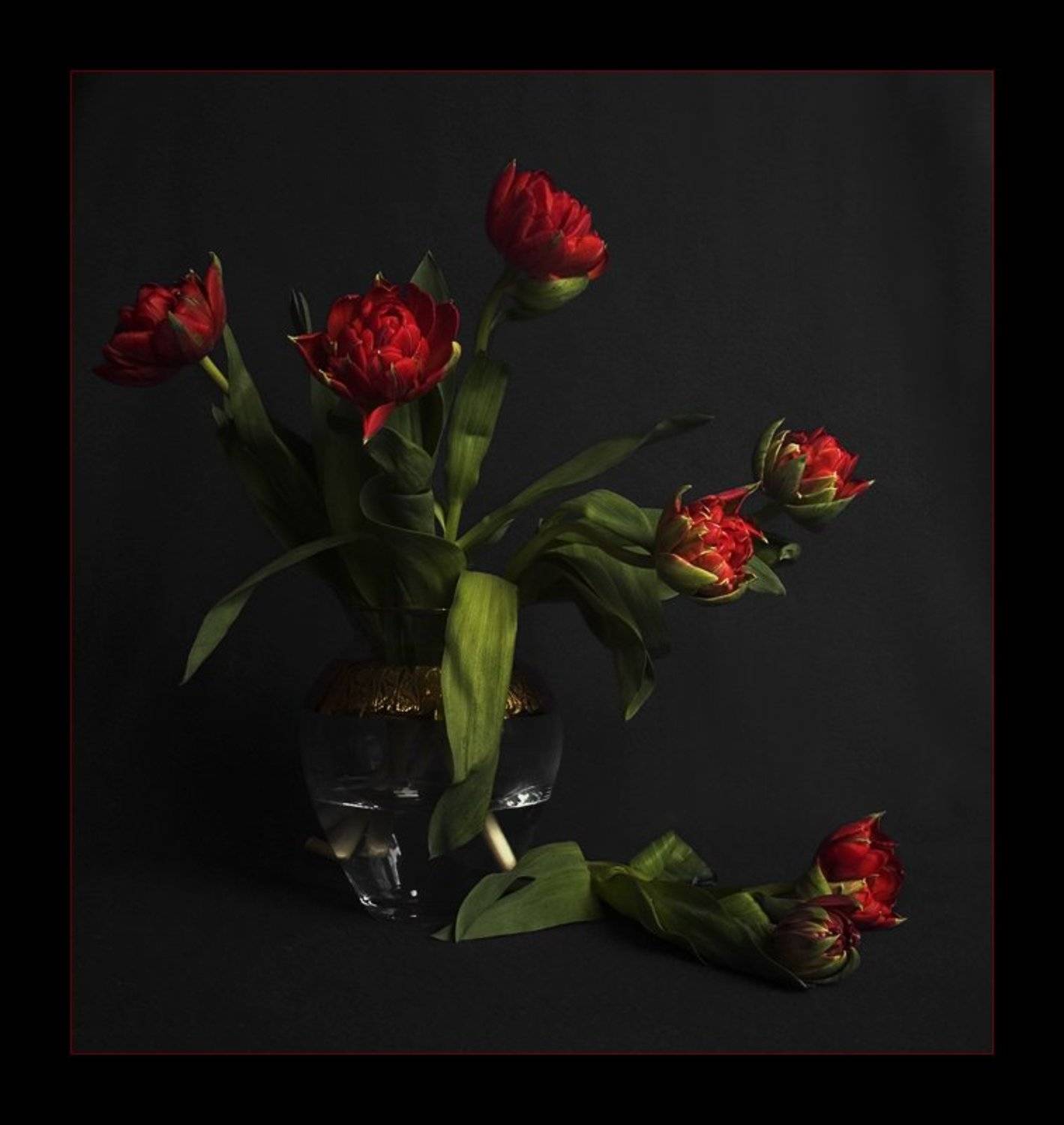 , Павел М. Цветков