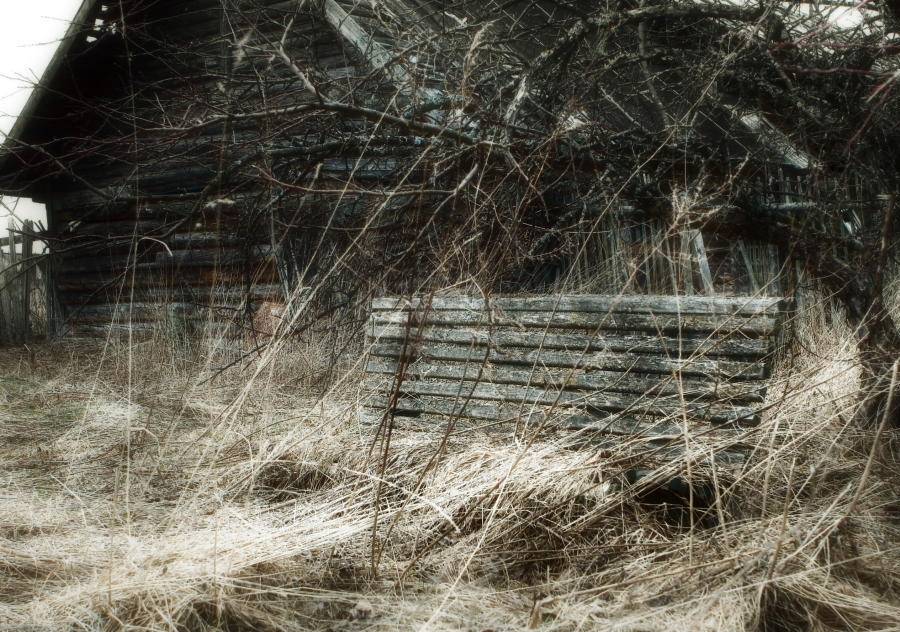 , Владимир Липецких