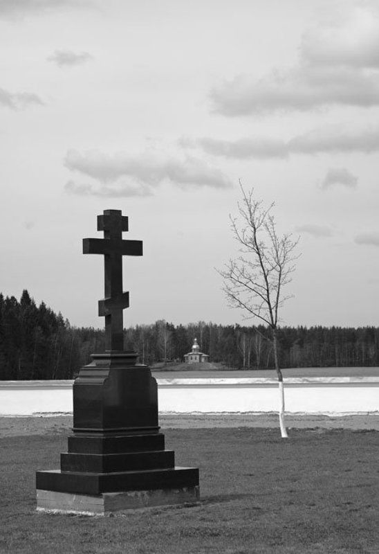 б\\н фото превью