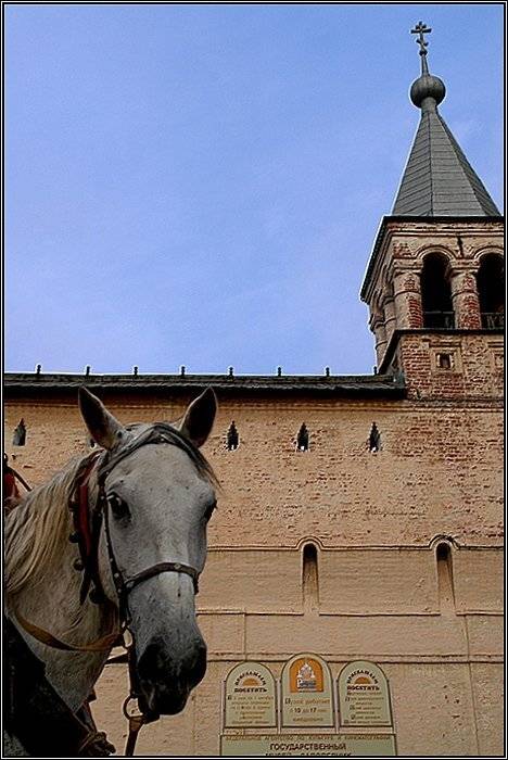 кремль, лошадка, senjor