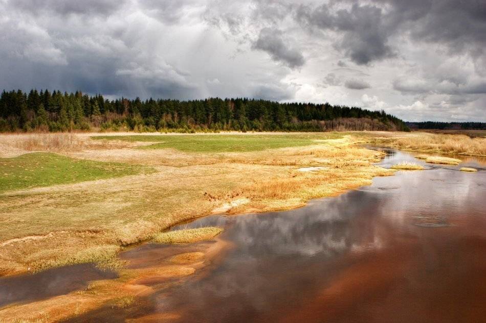 , Владимир Липецких