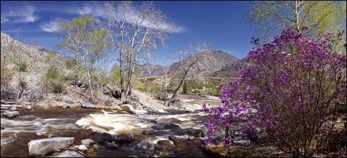Весна в горах