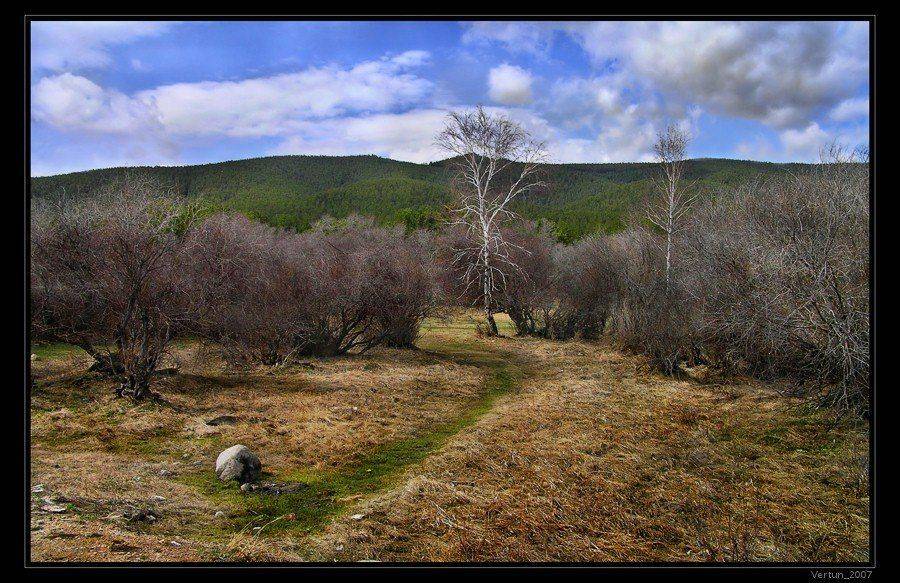 весна, лес, горы, бурятия, Игорь Глушко