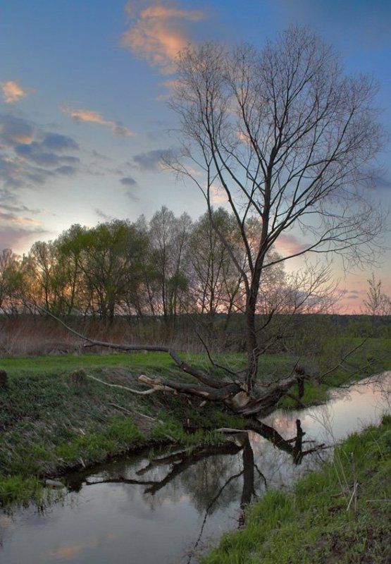 Сеньково - Руново. Вечер. фото превью