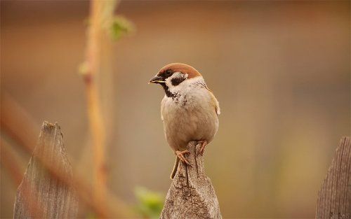 Задумчивые трУдни