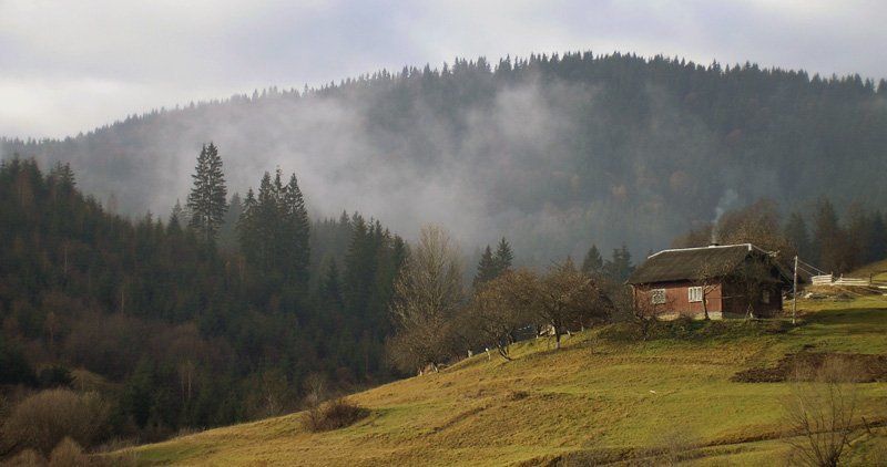 горы, карпаты, лес, туман, дым, домик, хата, славское, украина Домик в горах фото превью