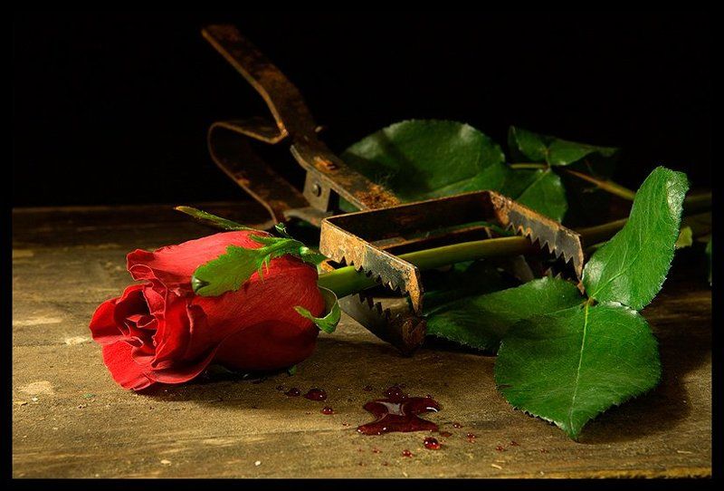 В капкане фото превью