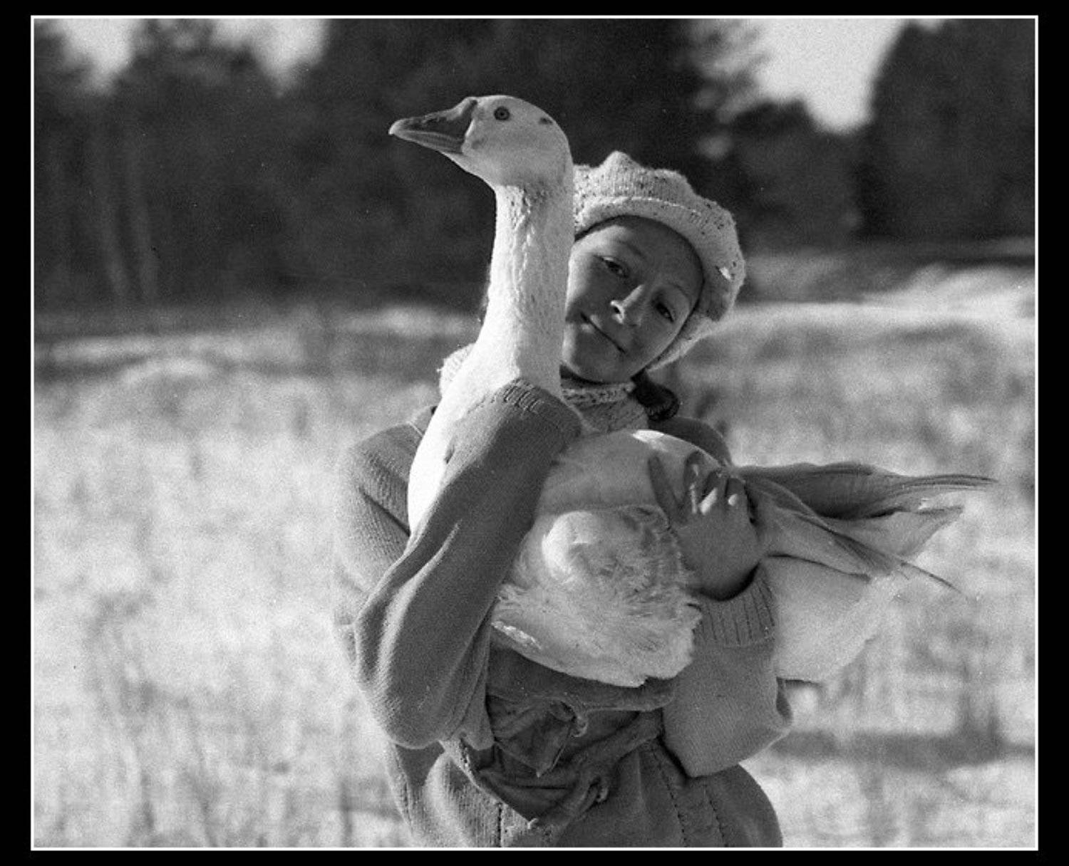 гусь, девушка, паниковский, NikOff (Юрий Руднев)