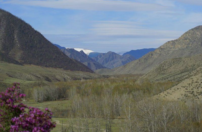 горный алтай, апрель весна... фото превью