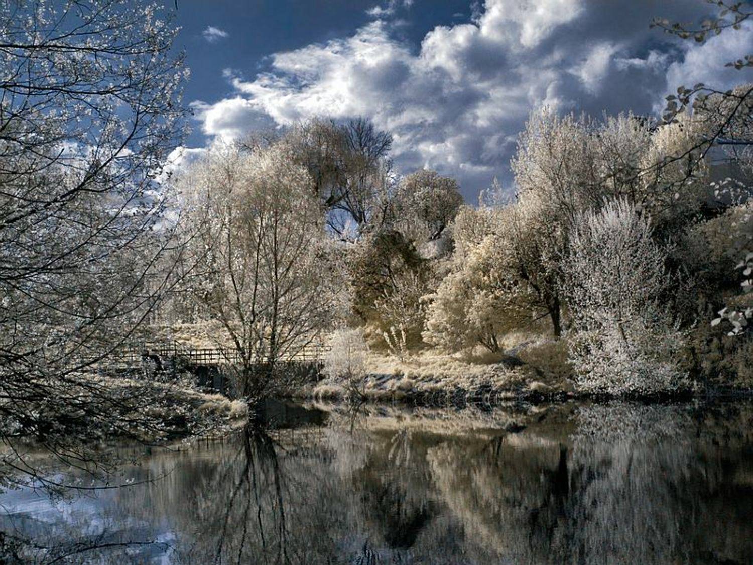 пейзаж, ик, Марк Пономаренко
