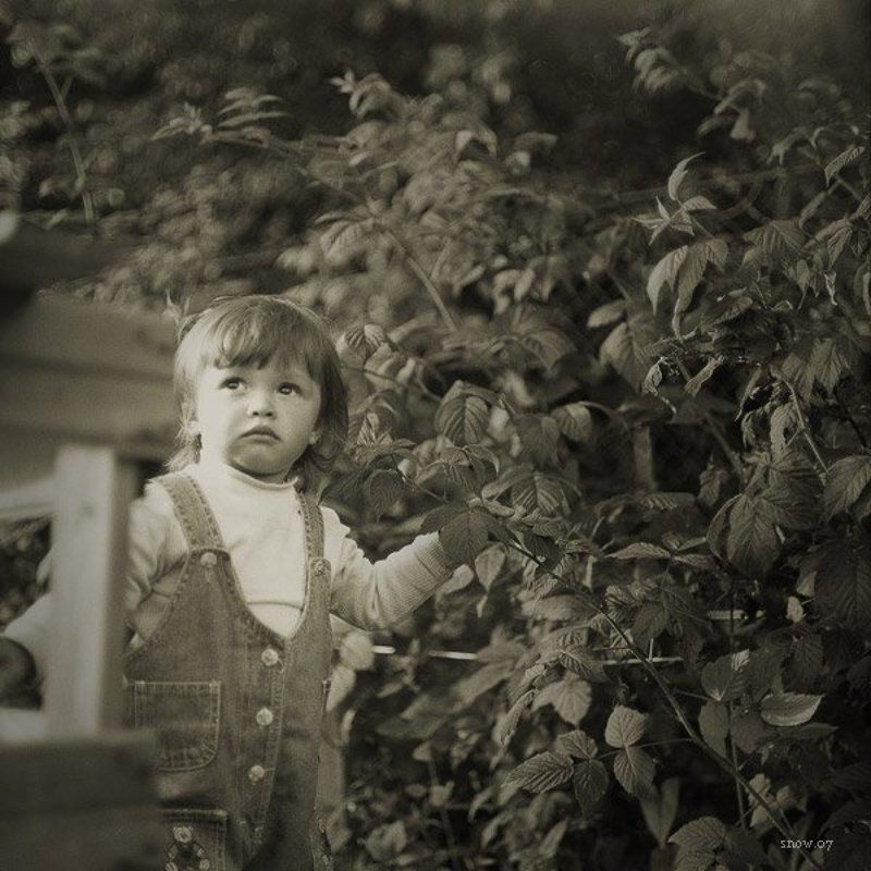 .nika фото превью