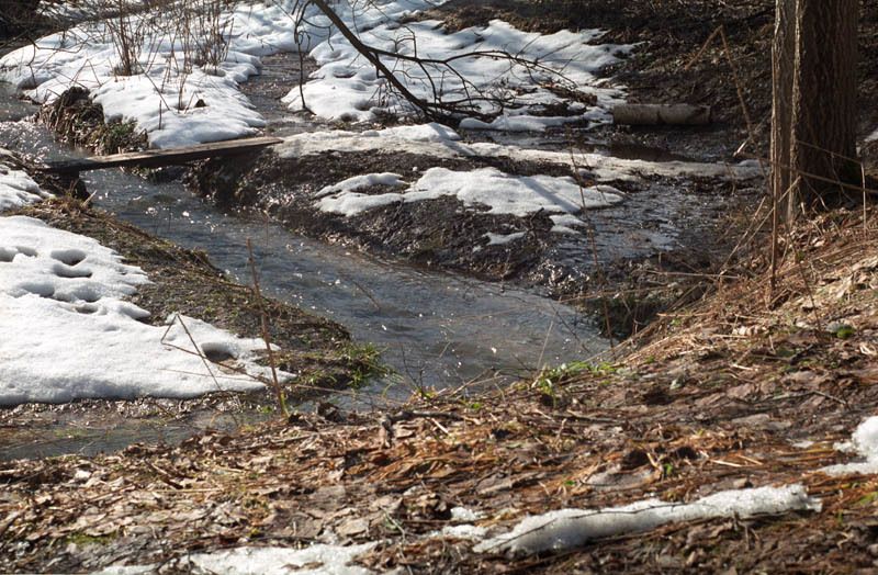 линии, ручей, природа Линии весны фото превью