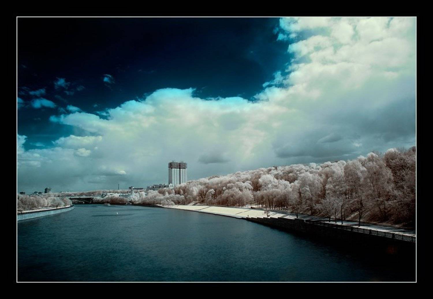 москва, воробъевы, горы, ик, Капустин Николай