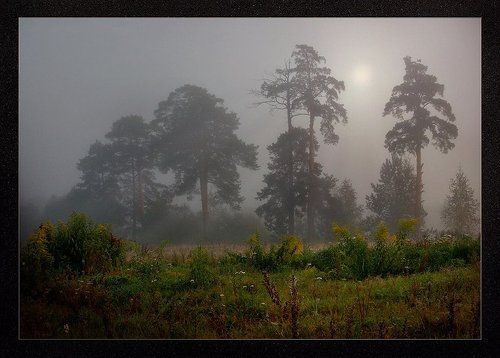 Рассвет - первое впечатленье..