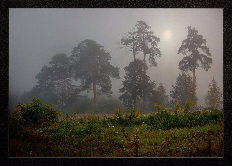 туман,рассвет. Рассвет - первое впечатленье.. фото превью