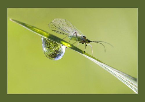 Этот Большой маленький Мир