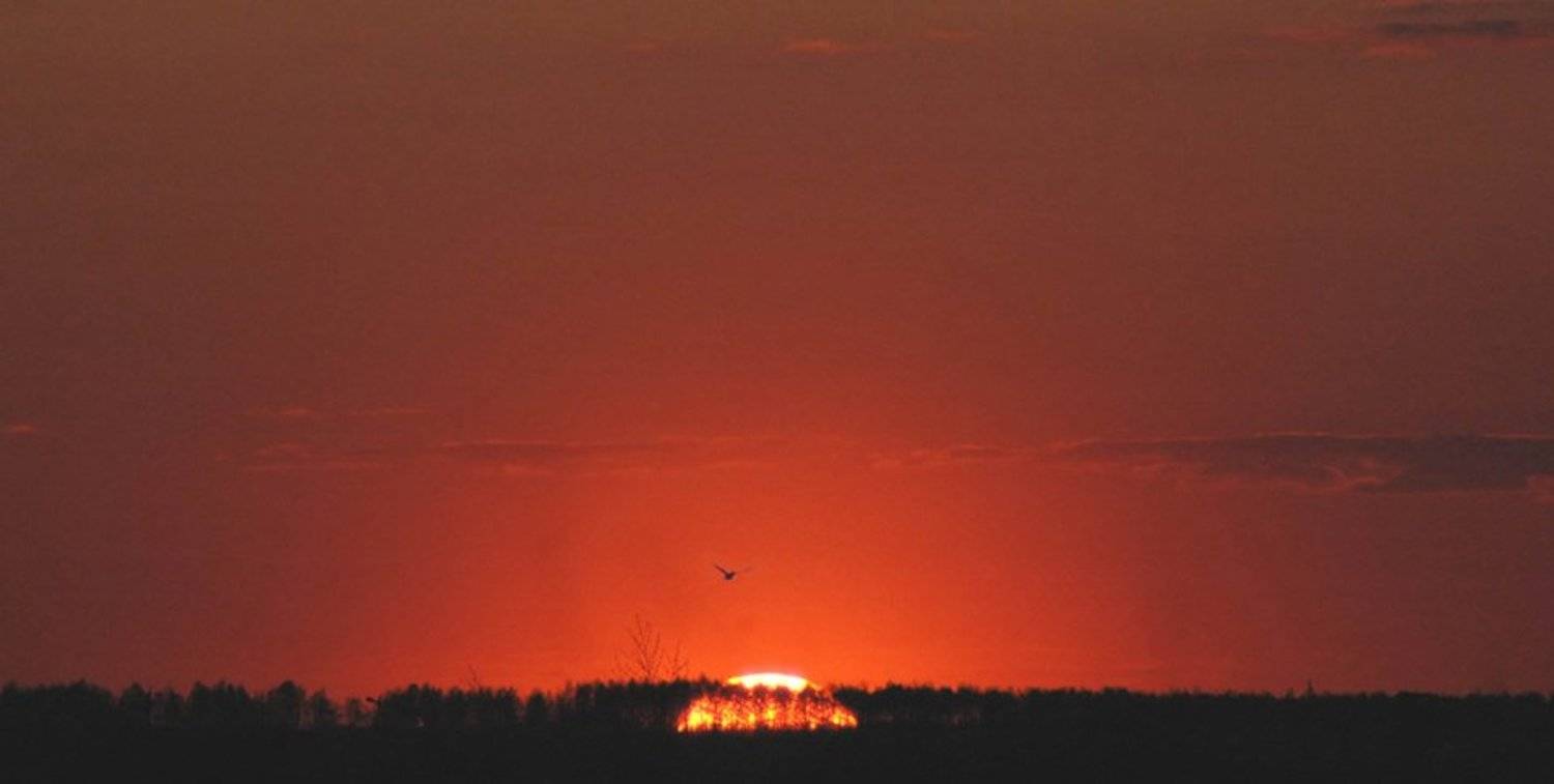закат, май, курск, Владимир Разумов