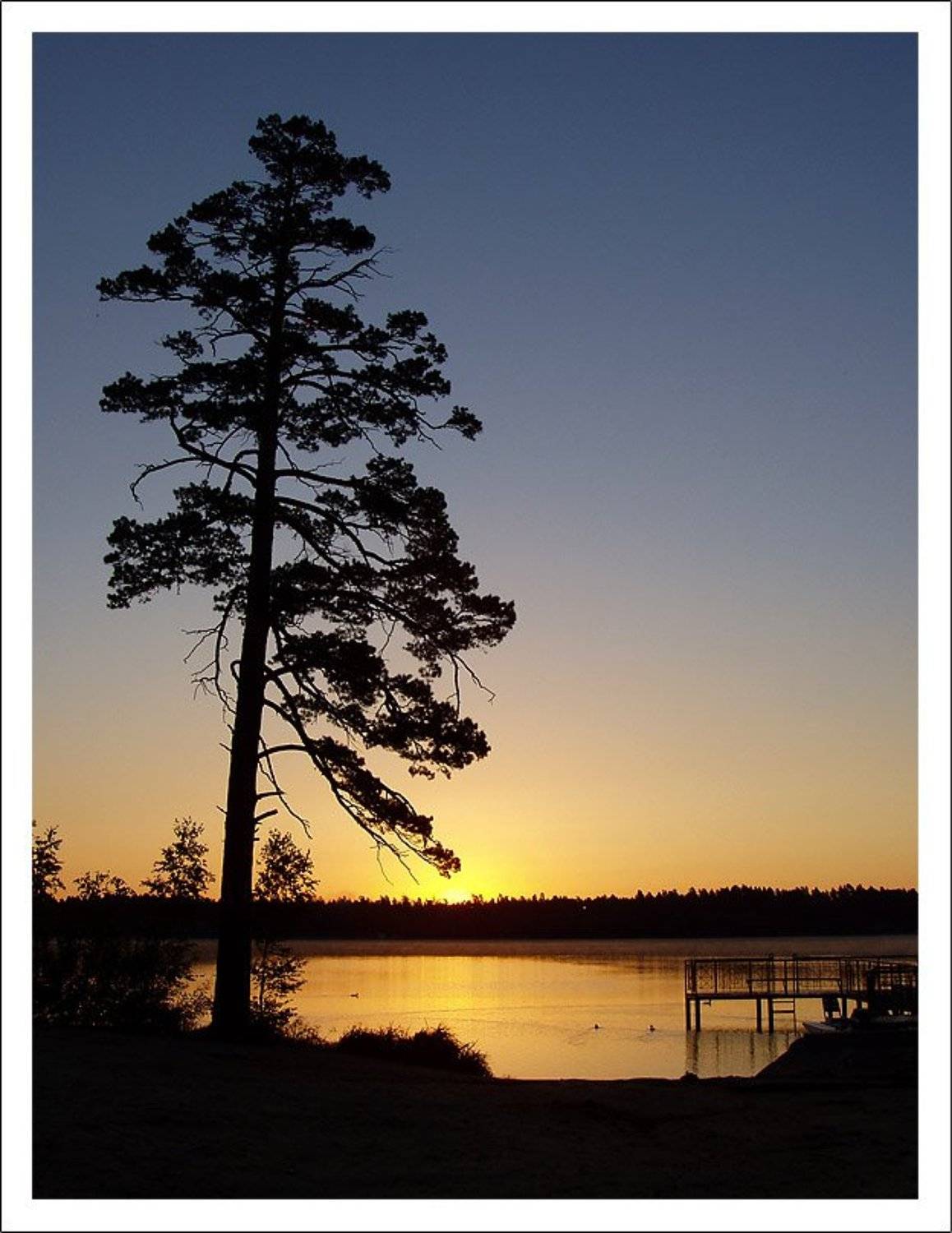 белое озеро, рассвет, лето, И.И.