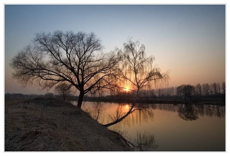 закат, речка, деревья, отражение, Евгений Гаганов