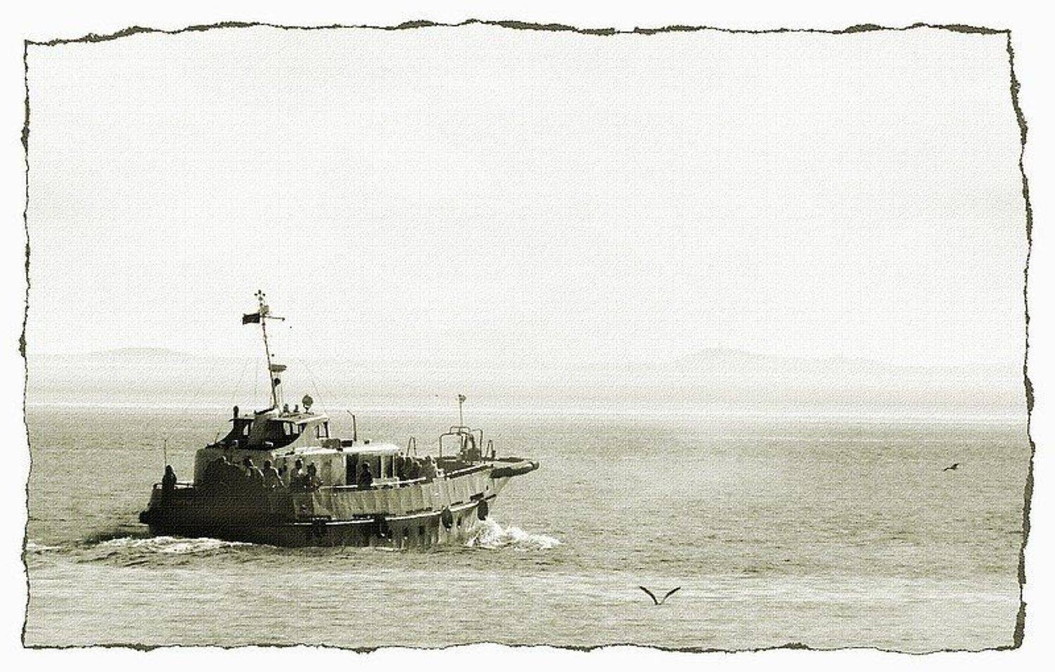 соловки, Eland