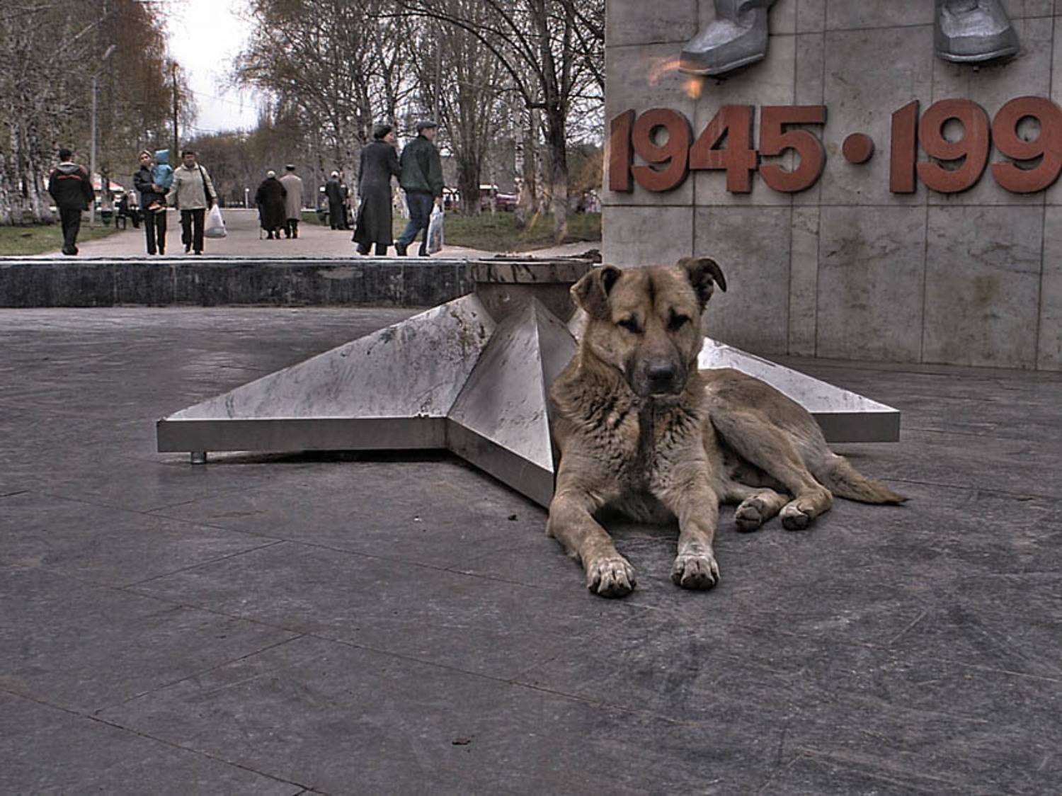 собака, огонь, памятник, праздник, праздник, Remint