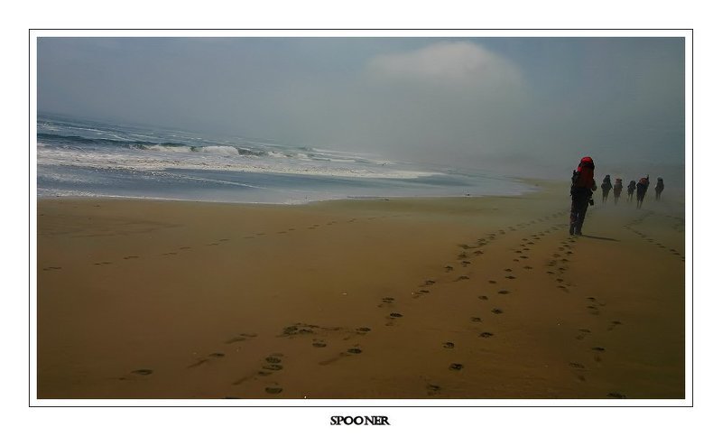 Курилы. Вдоль Тихого фото превью