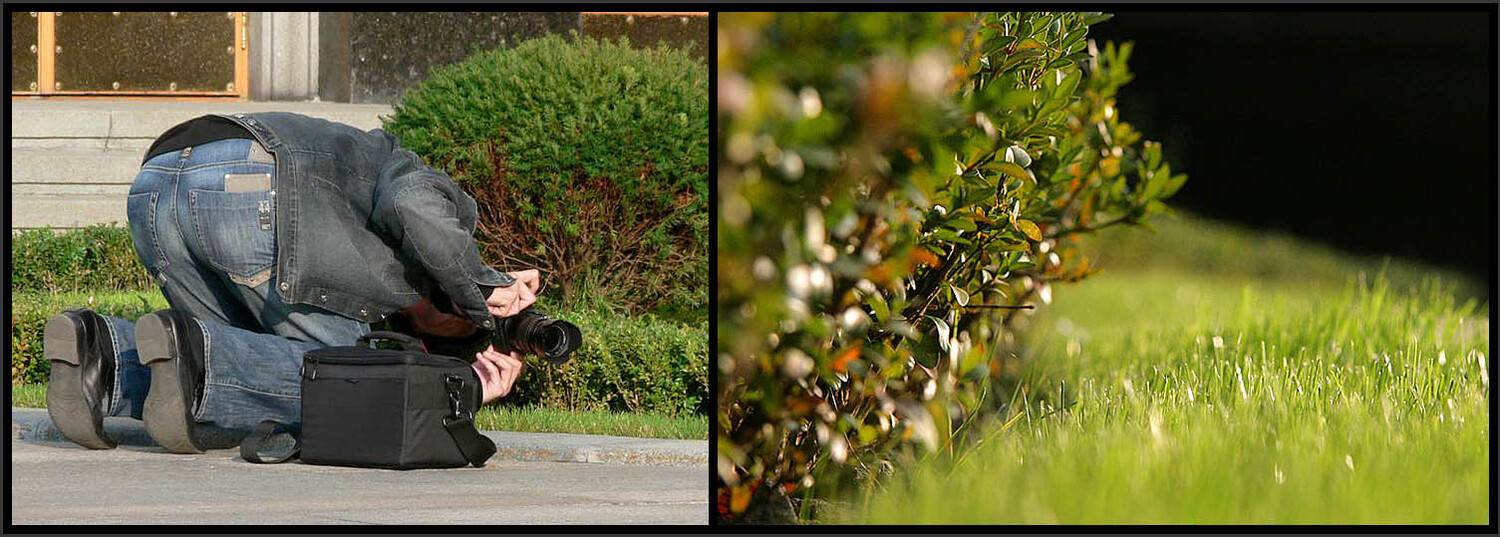 администрация президента, Sound Wave