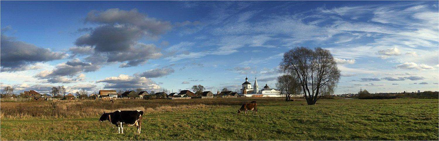 , Михаил Курцев