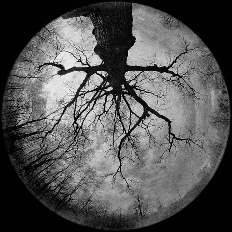 пеленг 8мм лунная. вторая фото превью