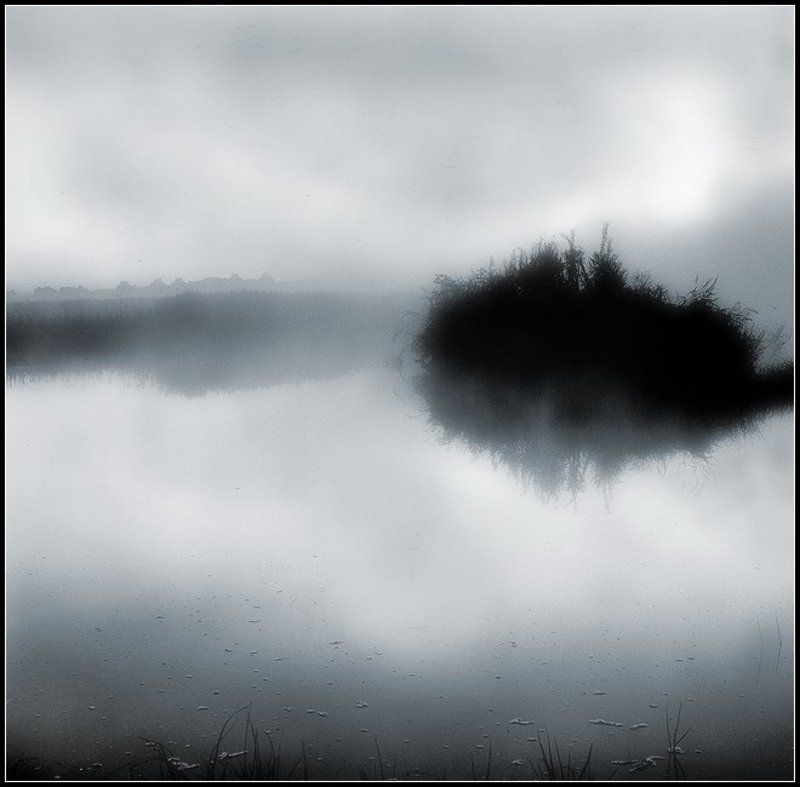 Ежик в тумане... фото превью