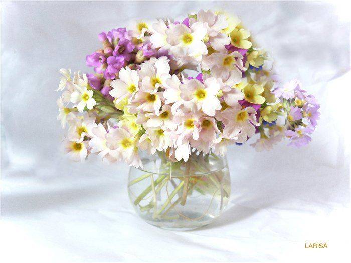 , Лариса Запатрина