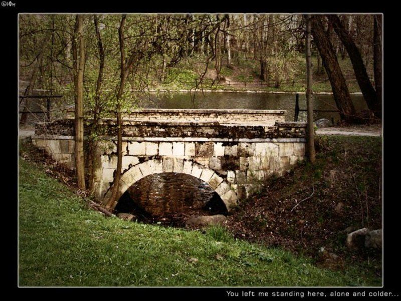 москва, парк, мост you left me фото превью