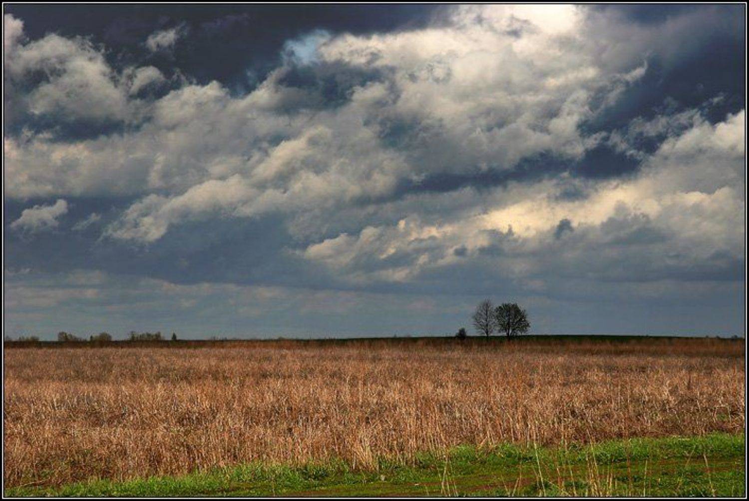 поле, трава, небо, туча, облако, дорога, цвет, дерево, двое, лес, dyadyavasya, Дмитрий Шамин