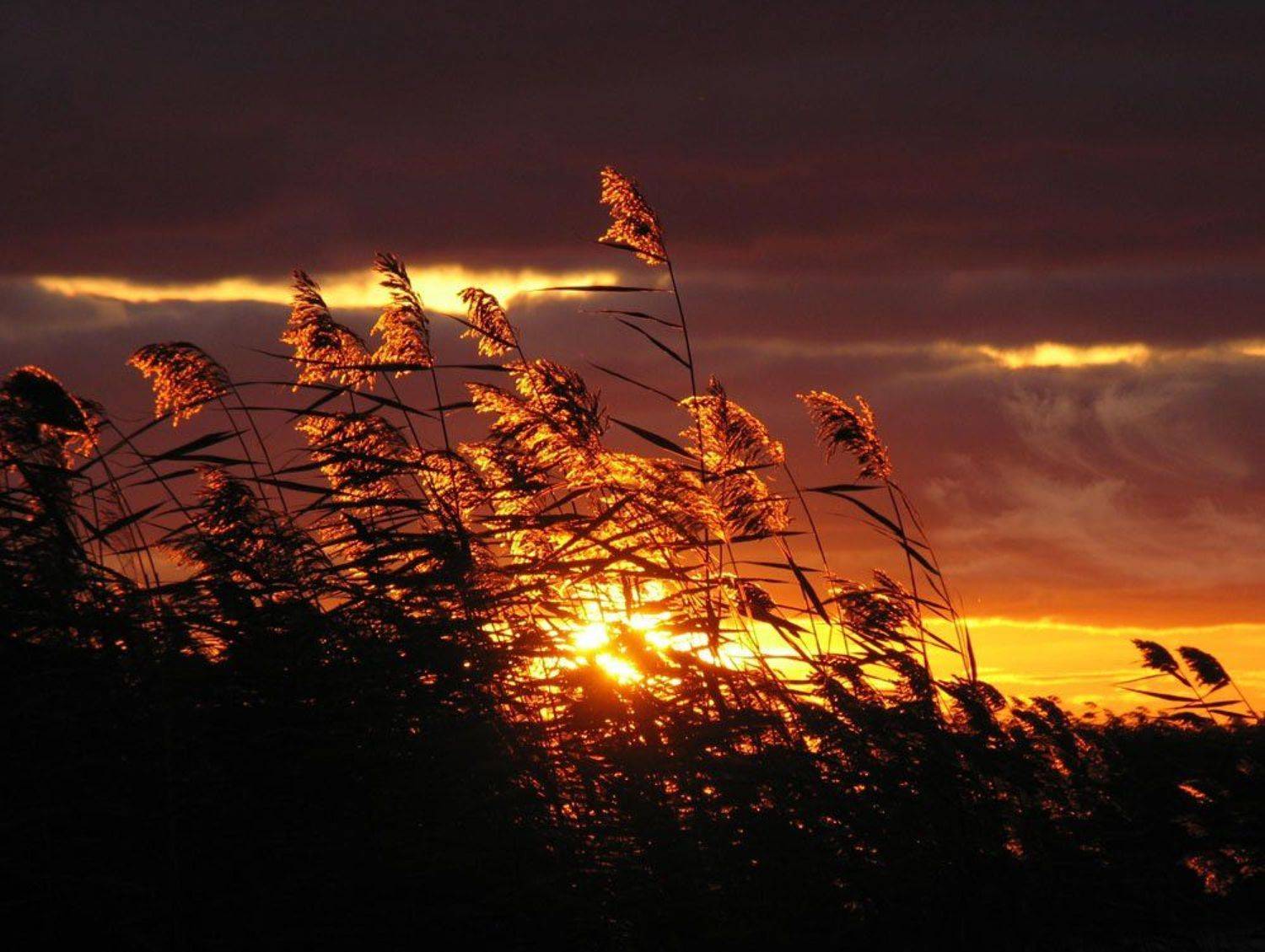 ладога, закат, Nepogoda
