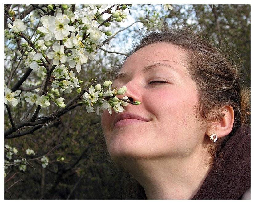 , Лунный Ежик