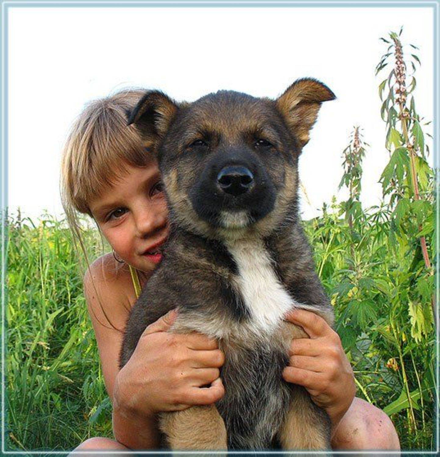 дети, собака, радость, VEB