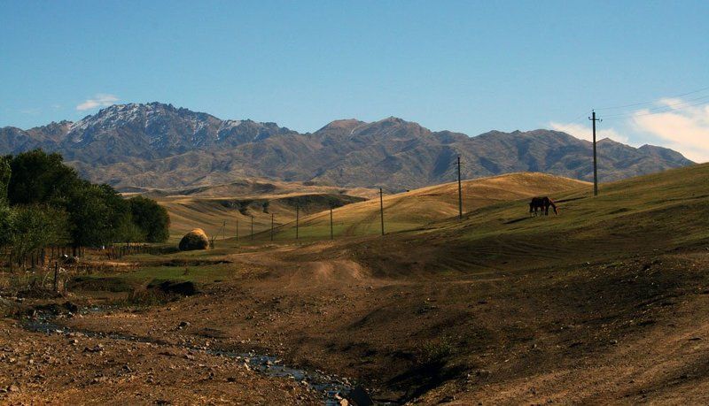 казахстан алтын емель Пастбища фото превью