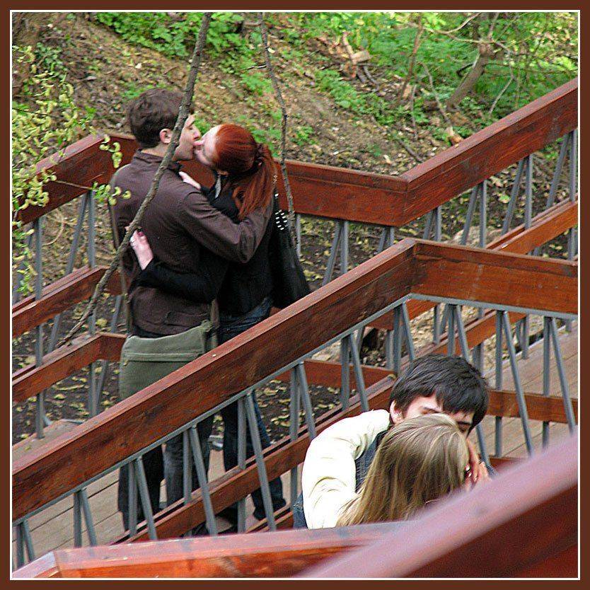 , Лунный Ежик