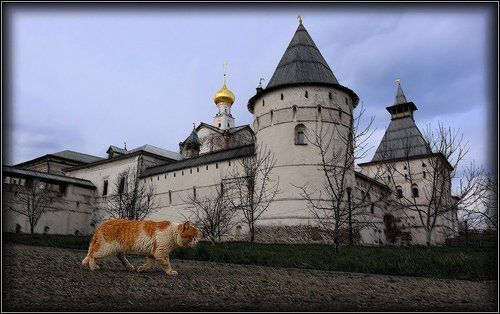 Деловой