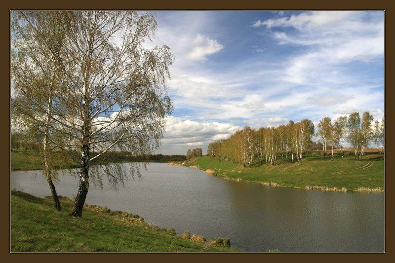 весна, пруд, облака, береза На пруду фото превью