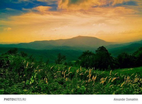 Вечерняя дрёма