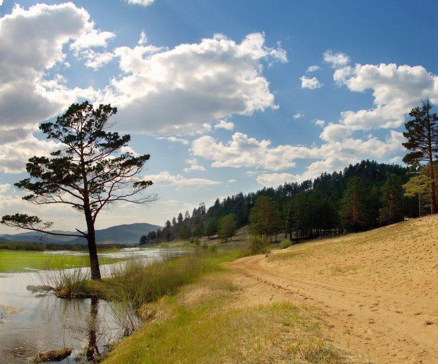 бурятия, чилутай, дерево, река, дорога, лес, Олег Шубаров