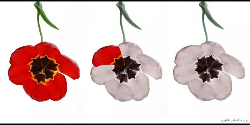 переход, в, другое, качество Иное качество... фото превью