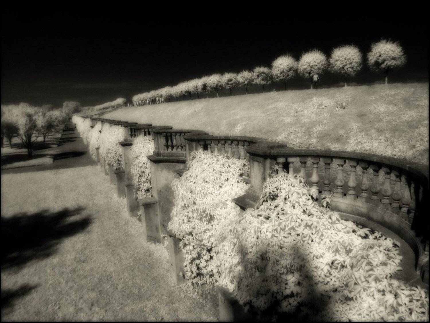 infared инфракрасная ик ir, Тайлер Дёрден